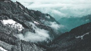 mountains, aerial view, fog, trees, snowy