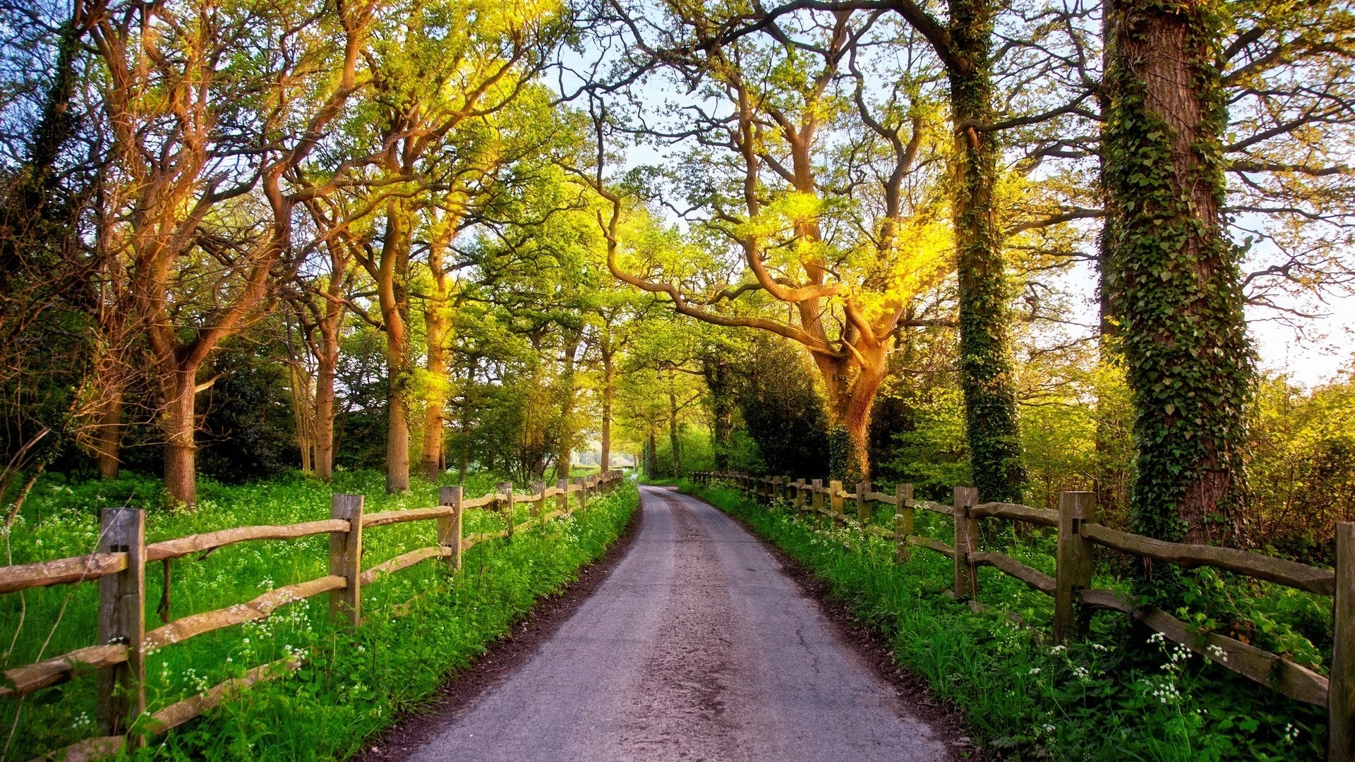 1920x1080 wallpapers: Inglaterra, Reino Unido, naturaleza, carretera, valla, el sol, amanecer, hierba, árboles (image)