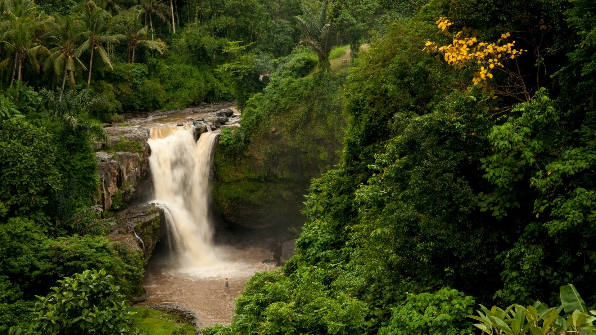 1920x1080 wallpapers: bali, indonesia, waterfall, forest, rock (image)