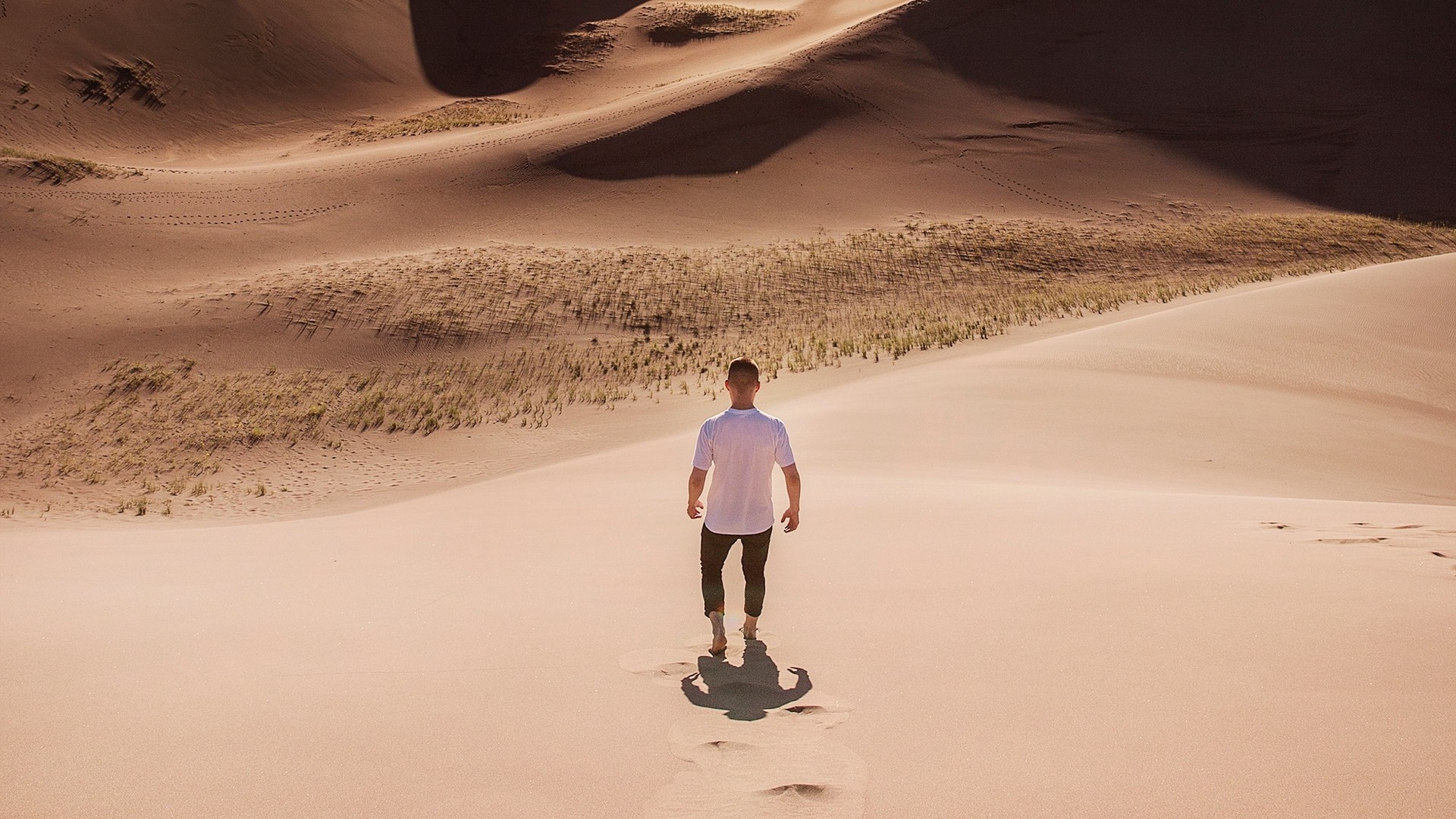 男 砂漠 砂丘 太陽 砂 写真 写真 デスクトップ壁紙
