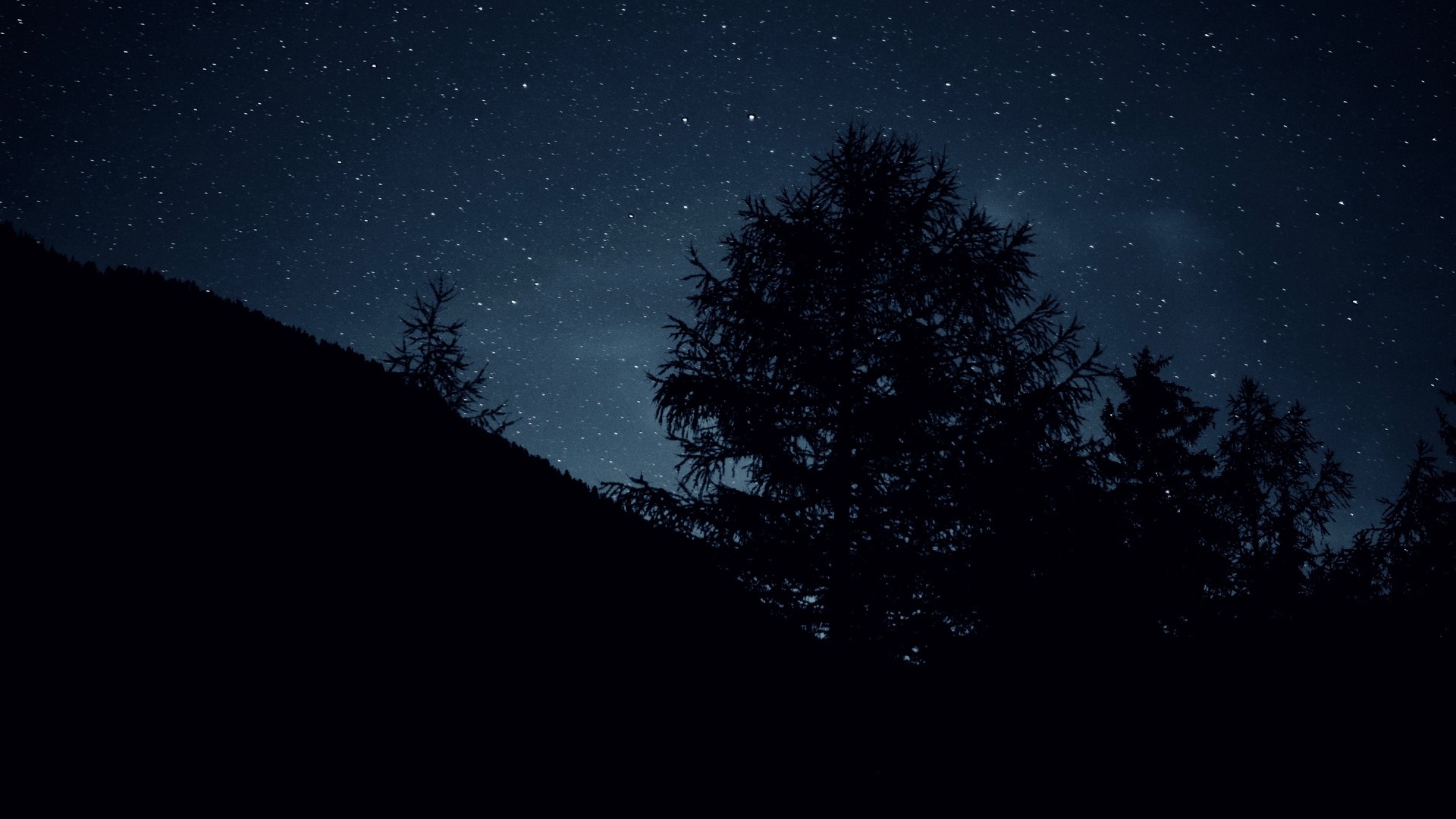 1920x1080 wallpapers: trees, night, stars, sky, beautiful (image)