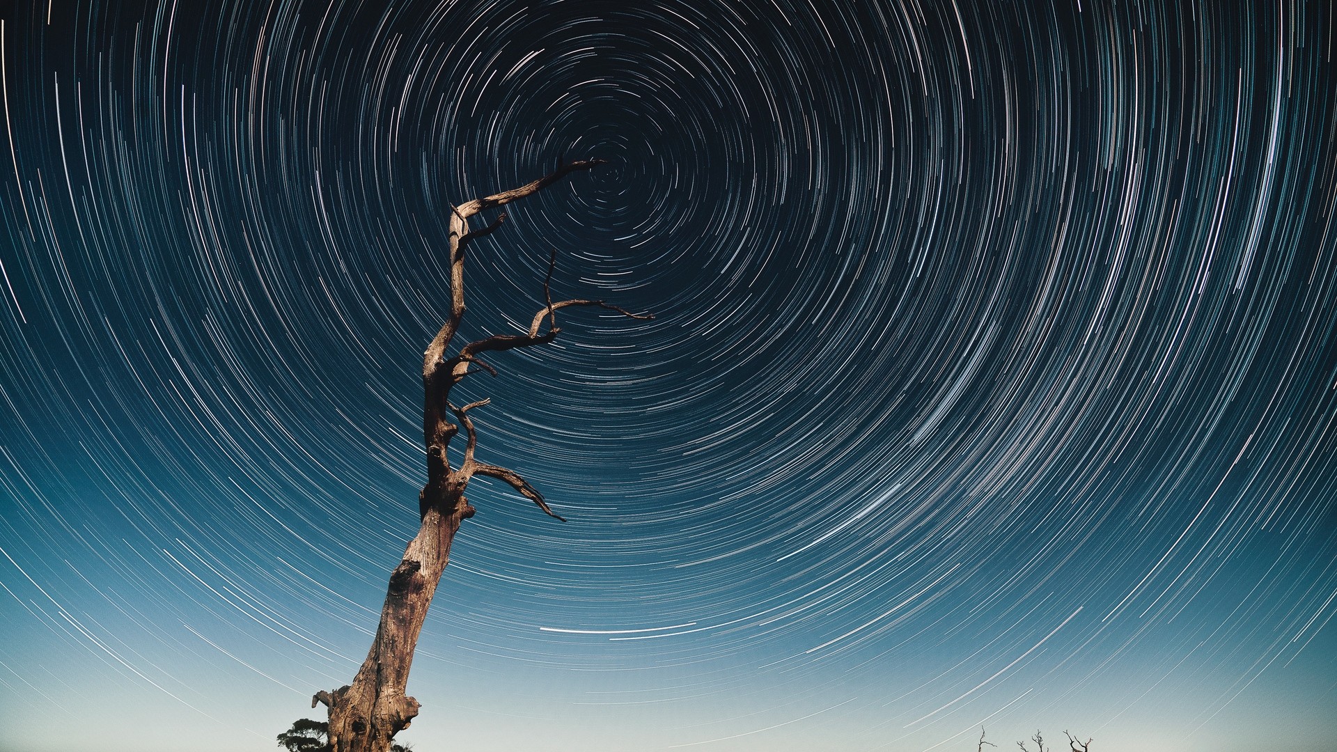 1920x1080 wallpapers: tree, starry sky, long exposure, stars, kaleidoscope (image)