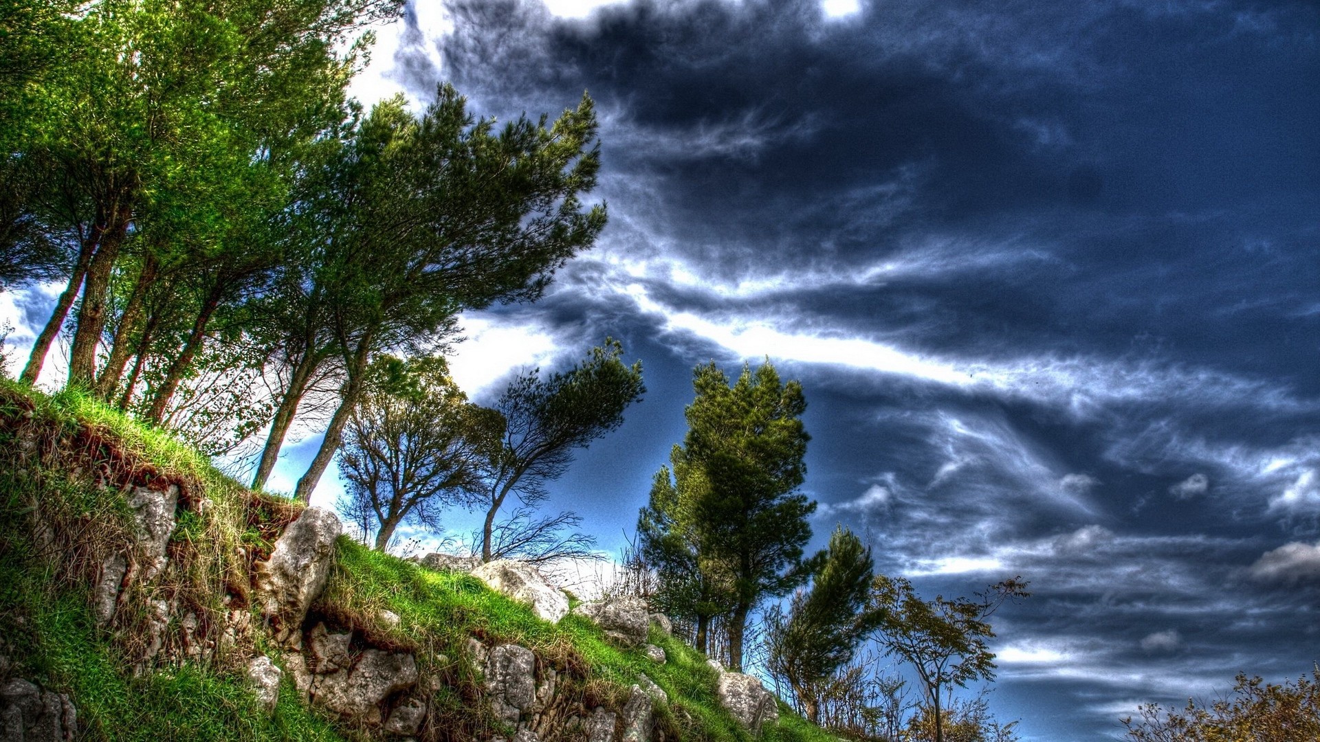1920x1080 wallpapers: trees, cliff, clouds, sky (image)