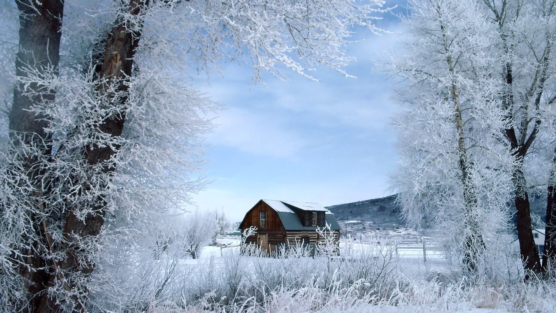 1920x1080 wallpapers: house, trees, hoarfrost (image)