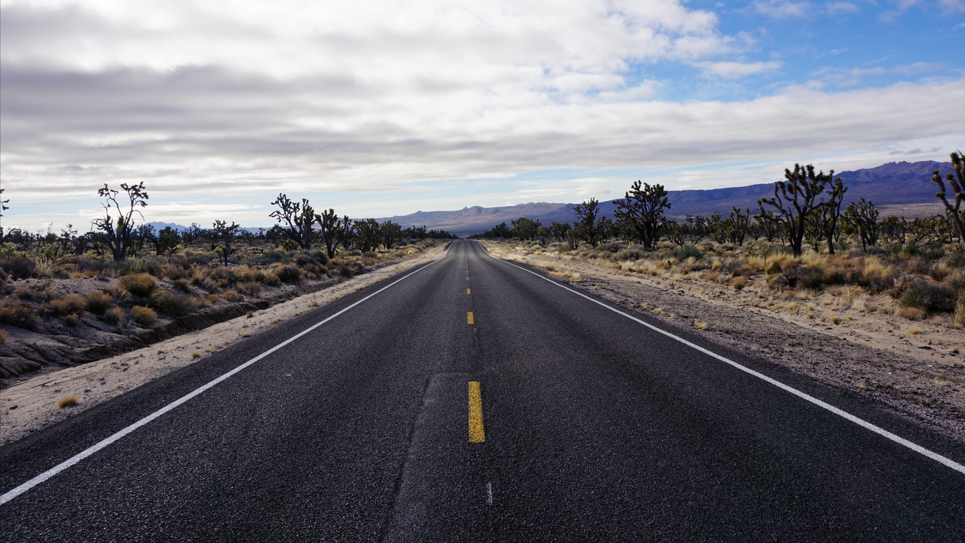 1920x1080 wallpapers: camino, asfalto, desierto, marcado (image)