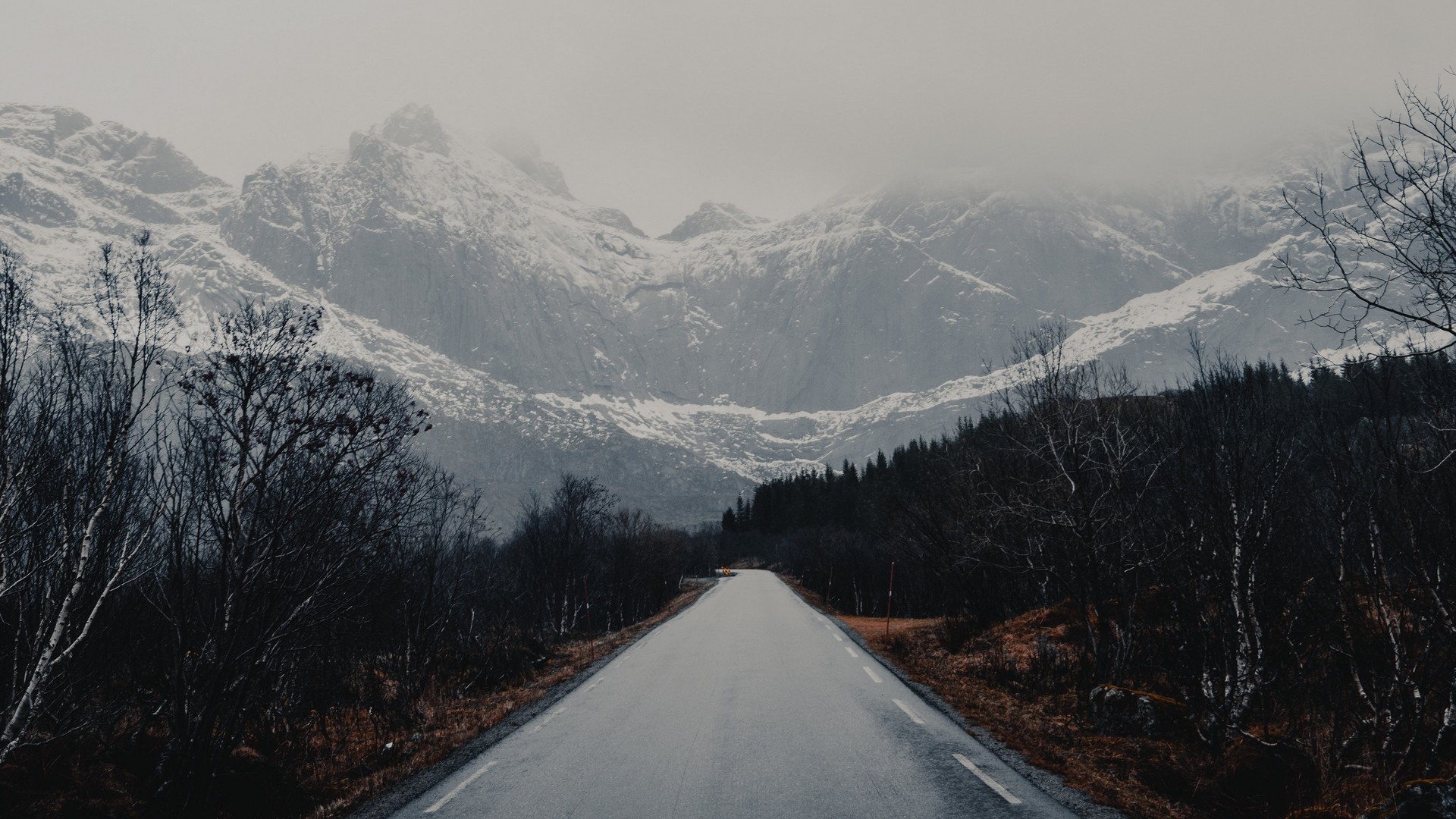 1920x1080 wallpapers: road, mountains, trees, asphalt (image)