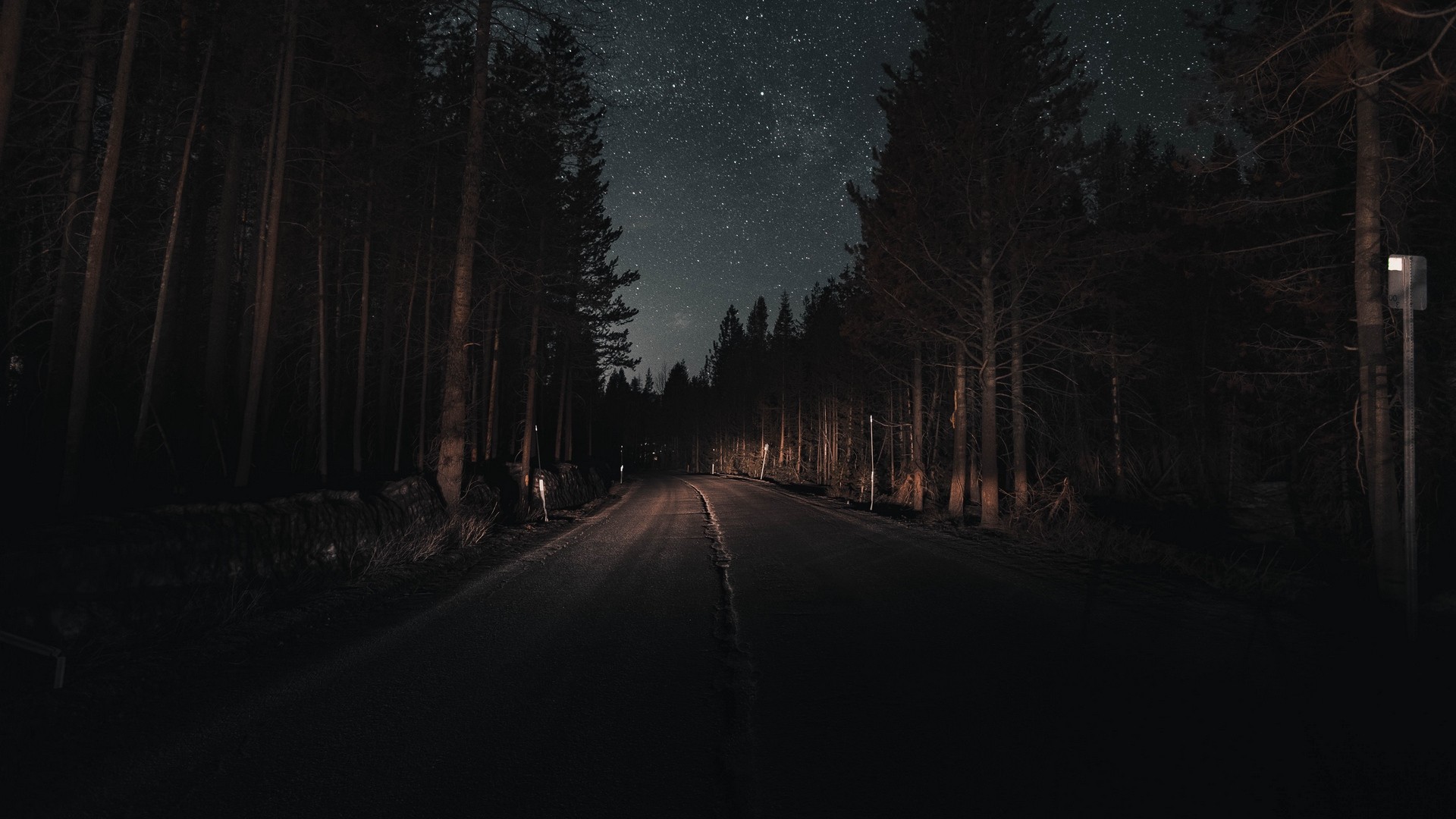 1920x1080 wallpapers: 道路，森林，夜晚，繁星点点的天空，转弯 (image)