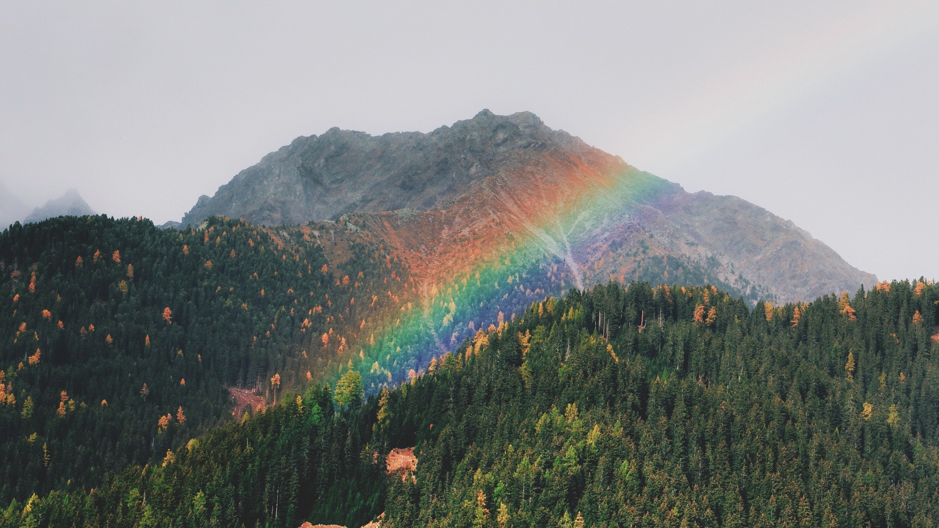 山 虹 風景 森 木 写真 写真 デスクトップ壁紙