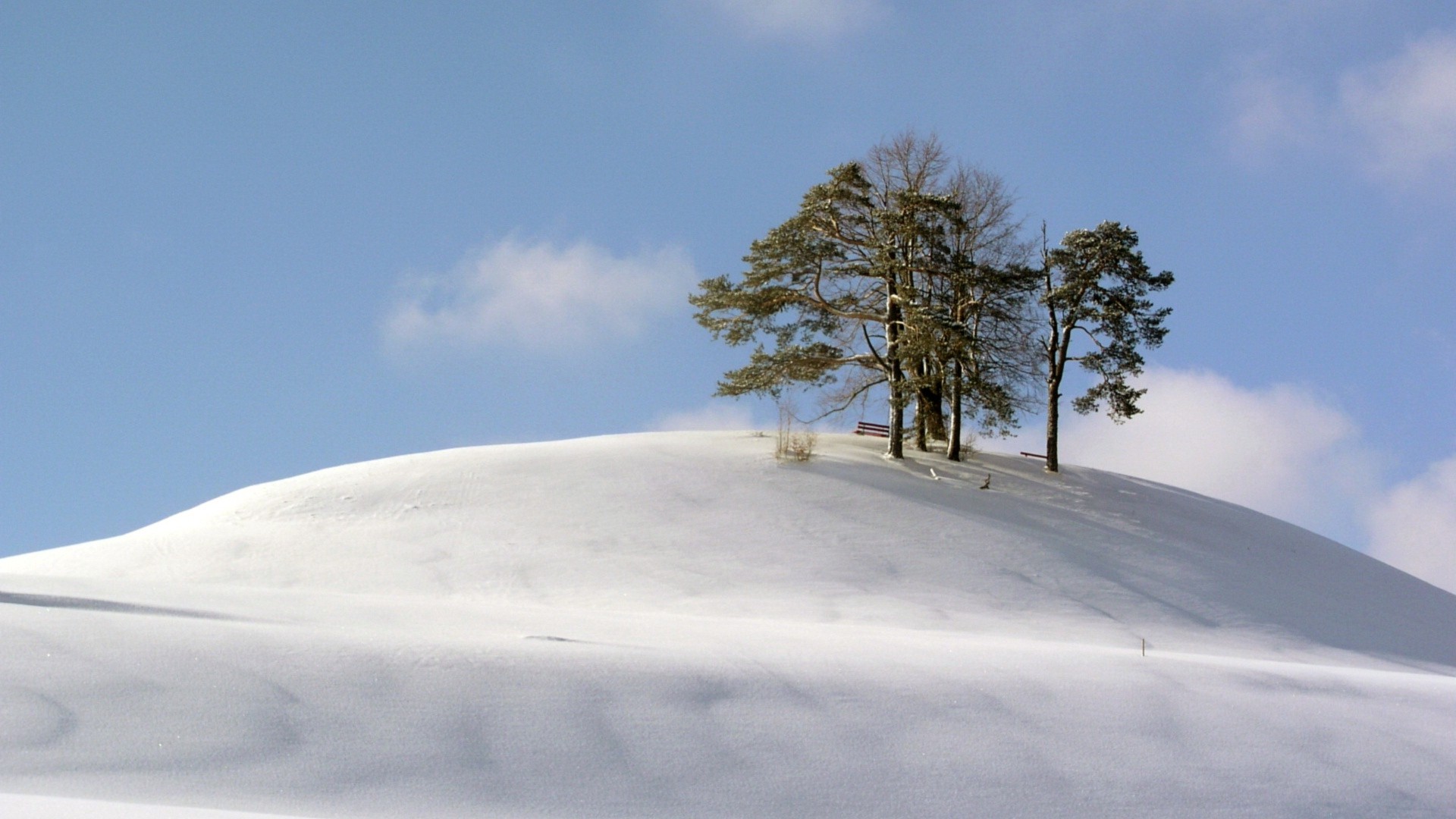 1920x1080 wallpapers: 山，树，雪，暴风雪，风，冷 (image)