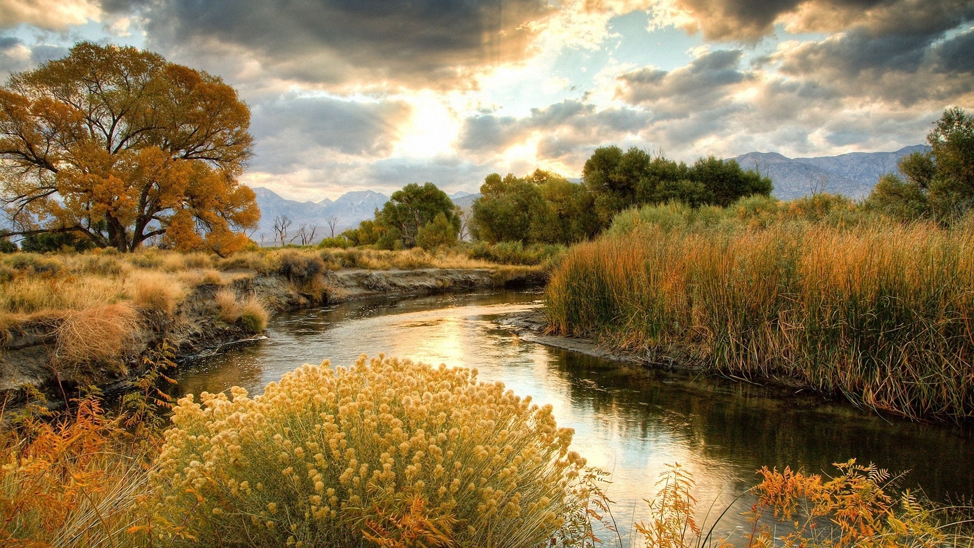 1920x1080 wallpapers: bushes, river, sun, clouds (image)