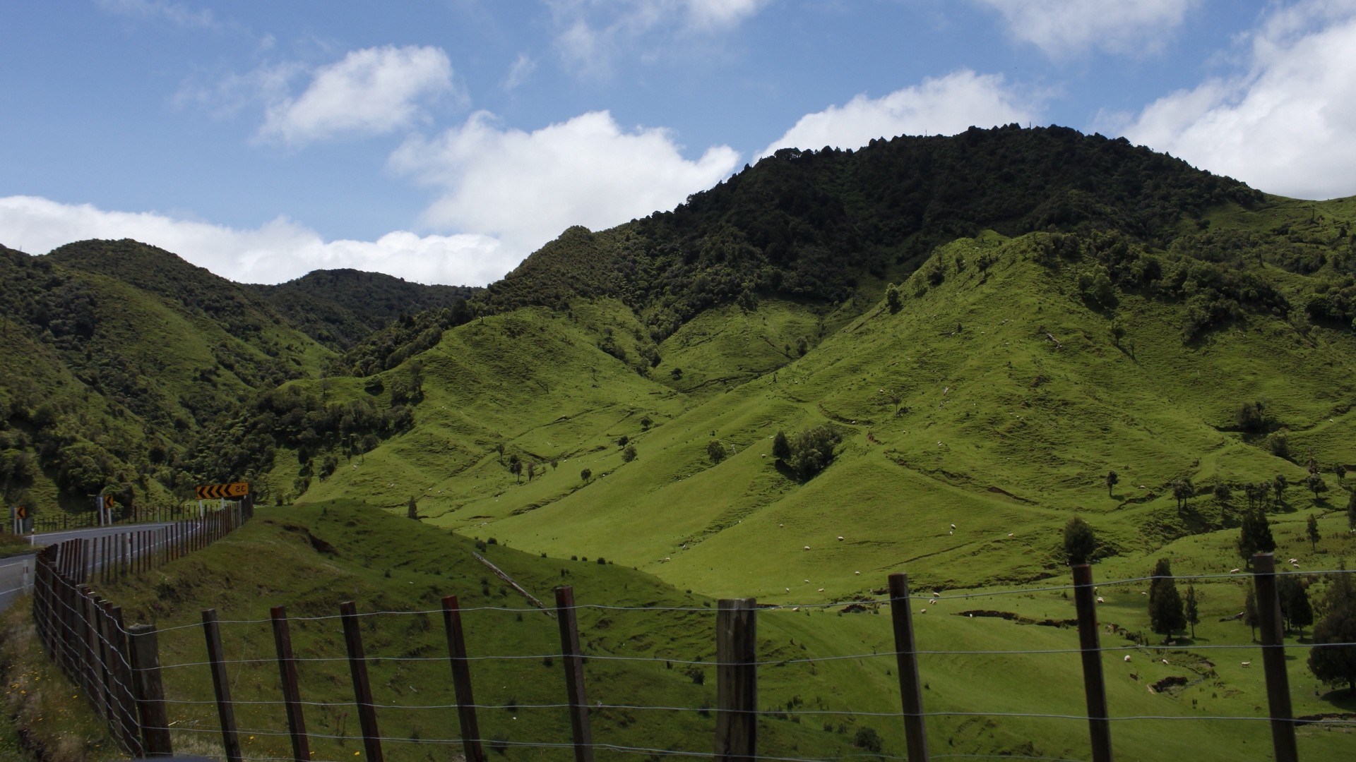 1920x1080 wallpapers: Nueva Zelanda, colina, montañas, hierba, beautiful (image)