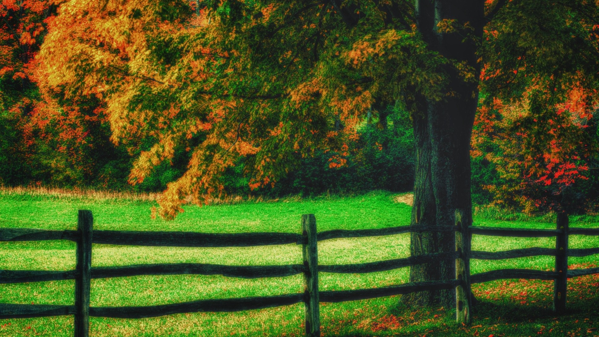 1920x1080 wallpapers: fencing, tree, green, art (image)