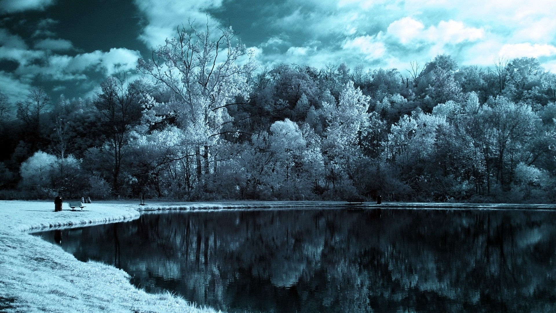 湖 木 雲 暗い 黒と白 写真 写真 デスクトップ壁紙