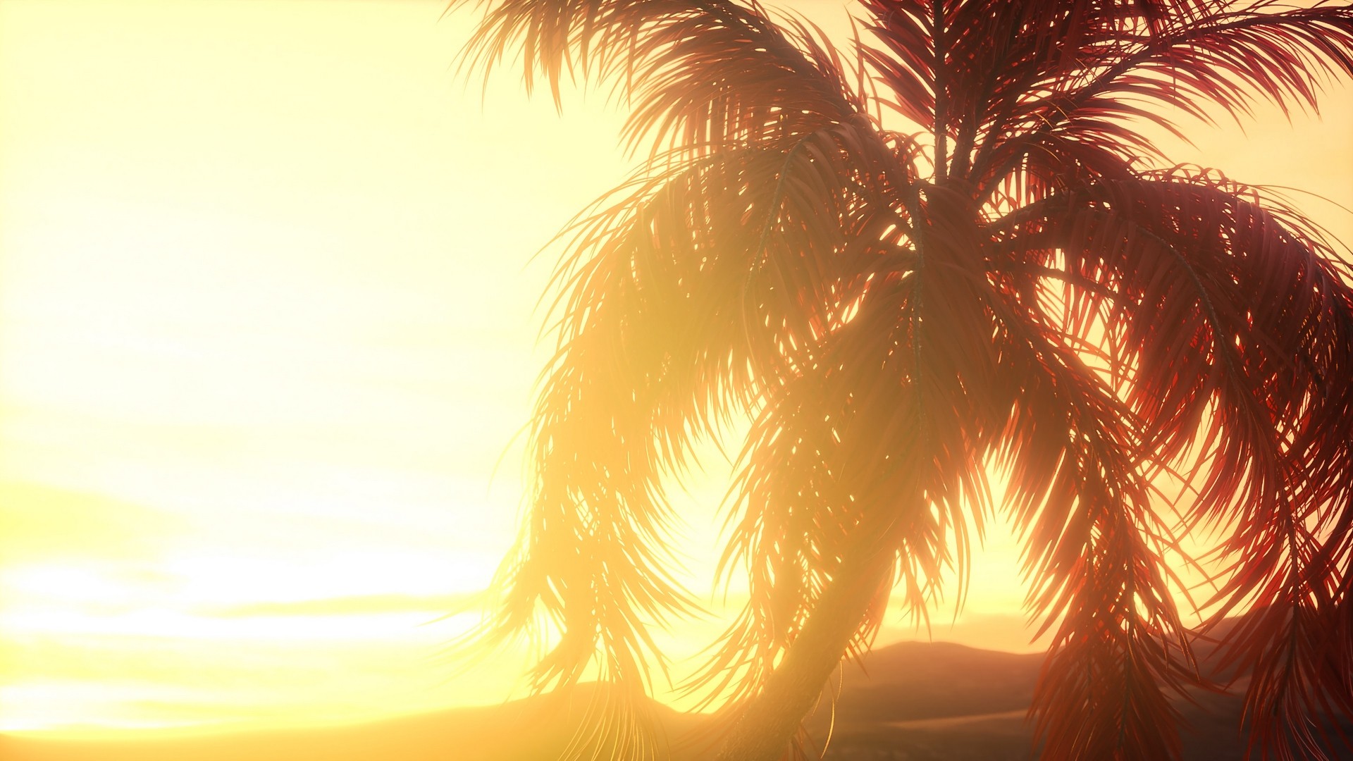 1920x1080 wallpapers: palm, branches, leaves, sunset, bright (image)