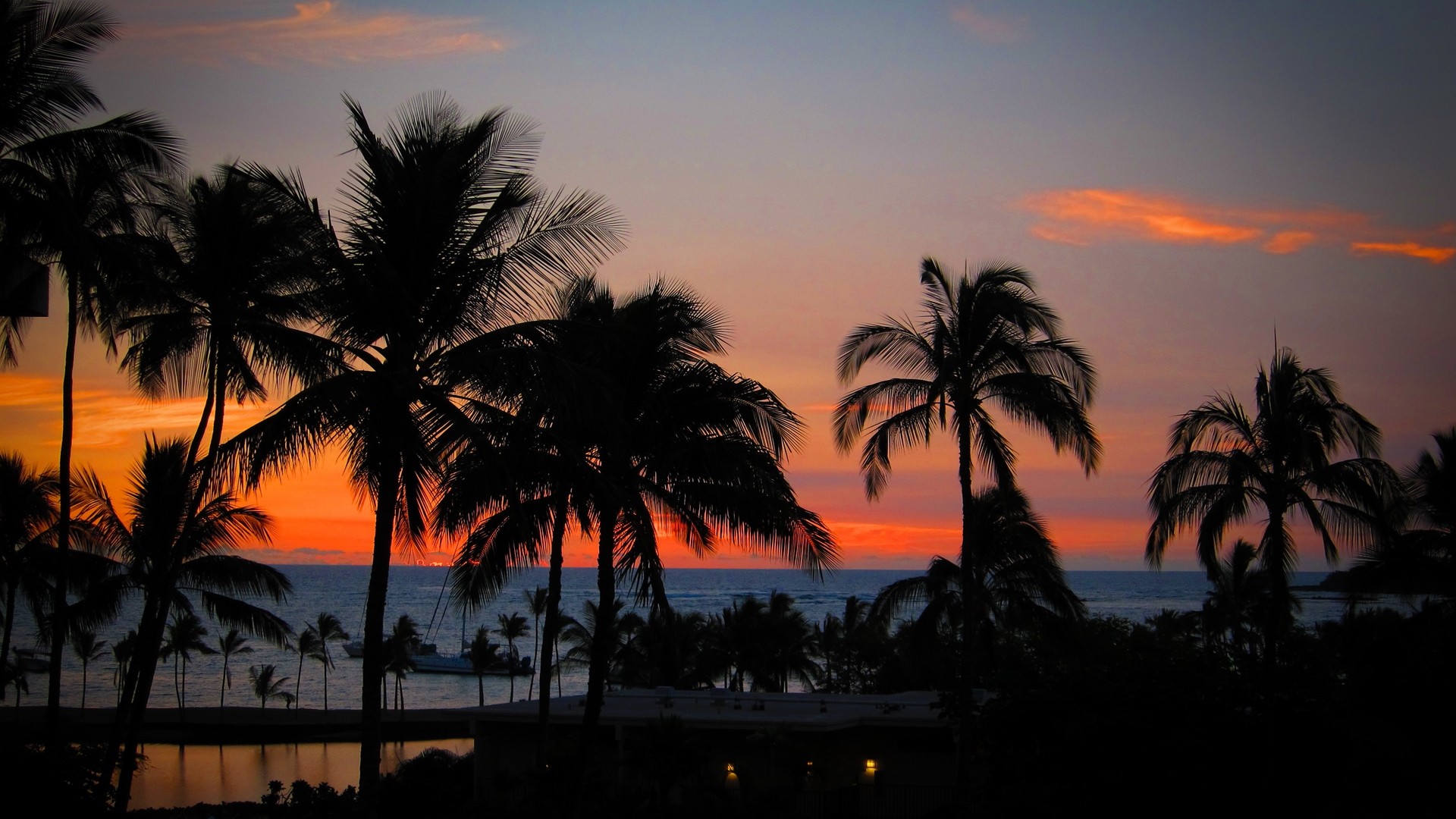 ヤシの木 夕日 ハワイ 海 地平線 写真 写真 デスクトップ壁紙