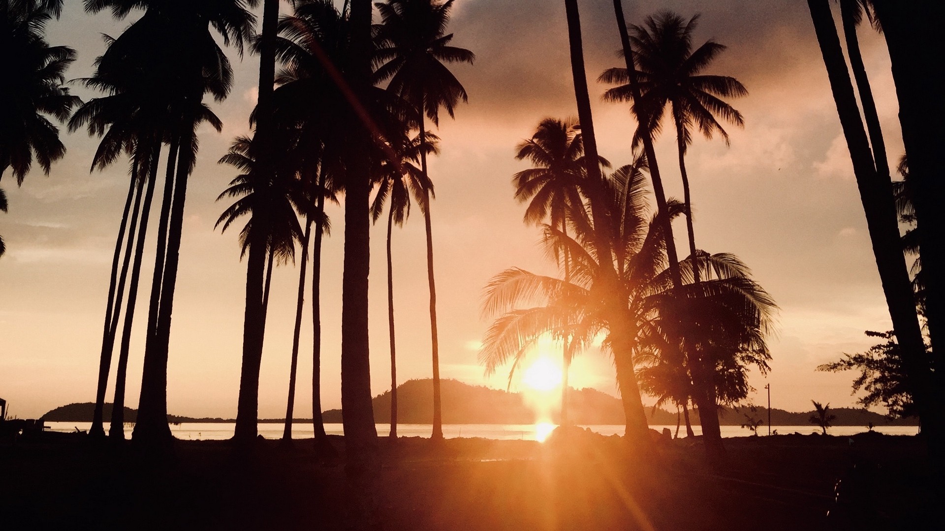 1920x1080 wallpapers: palm trees, sunset, tropics, sunlight, velocidad (image)