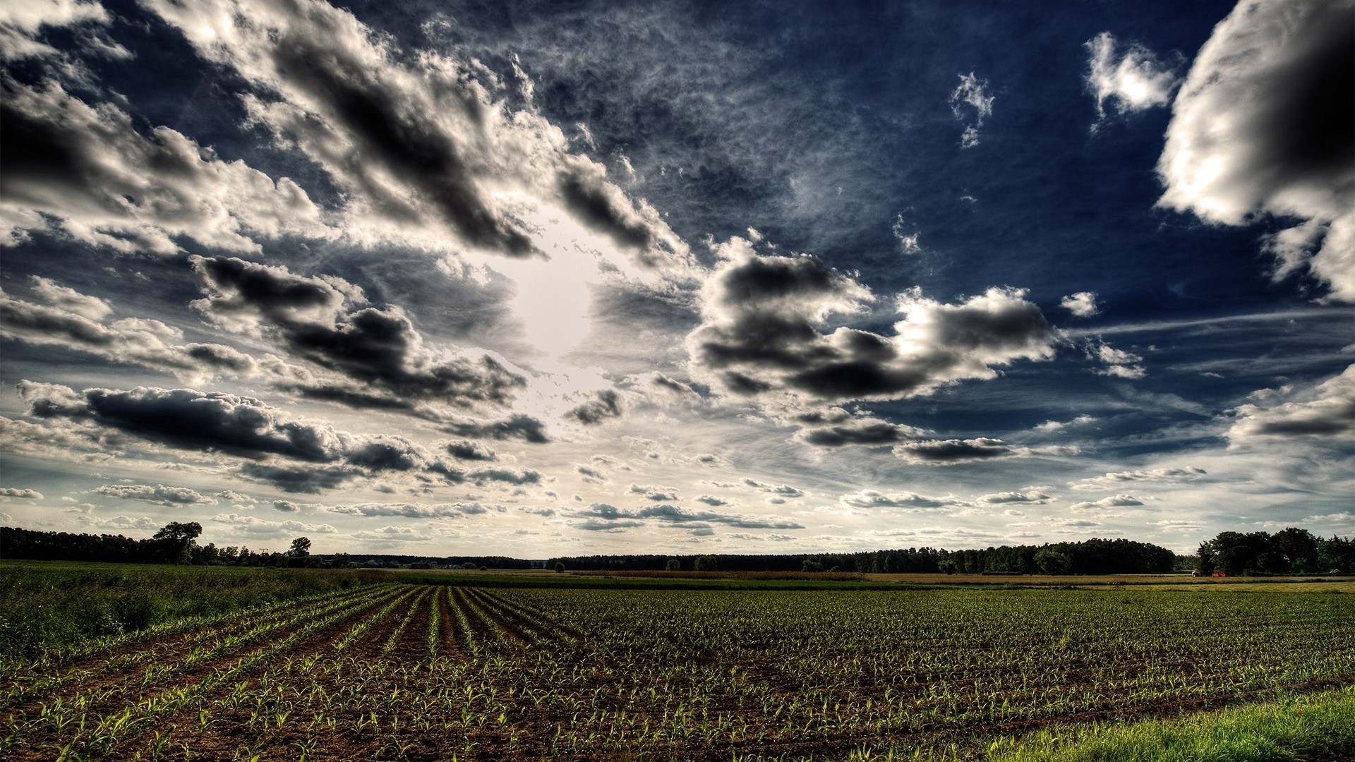 1920x1080 wallpapers: field, arable land, clouds, sky (image)