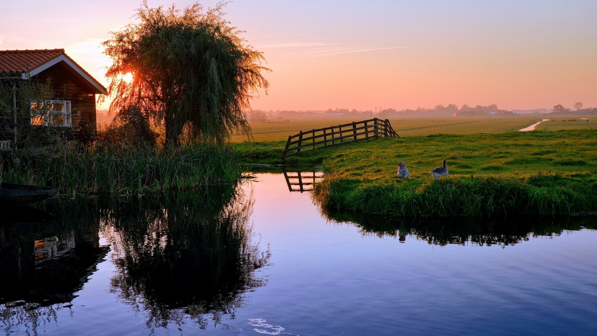 1920x1080 wallpapers: pond, house, sunset, ducks (image)