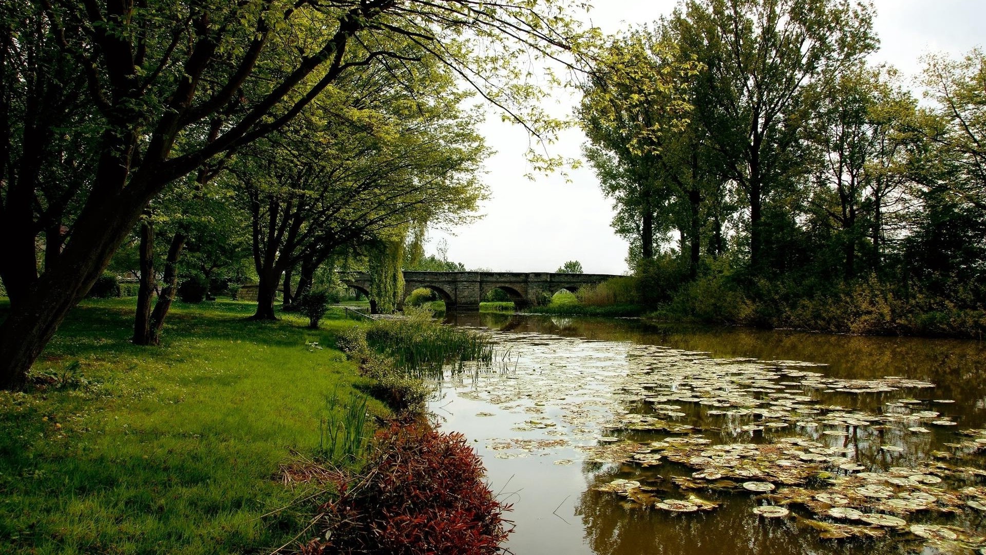 1920x1080 wallpapers: pond, water lilies, trees, bridge, park (image)