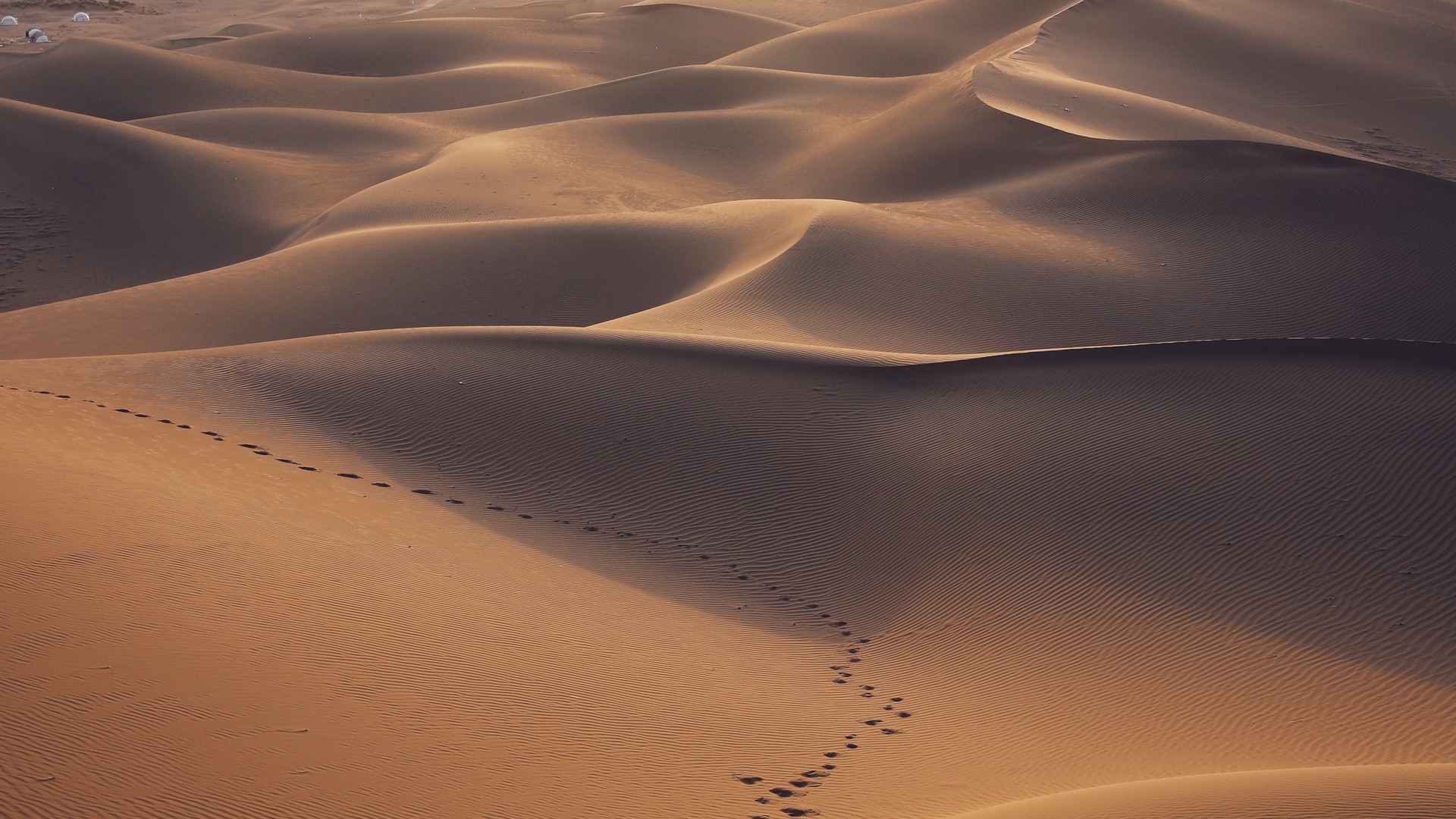 1920x1080 wallpapers: desert, dunes, sand, footprints (image)