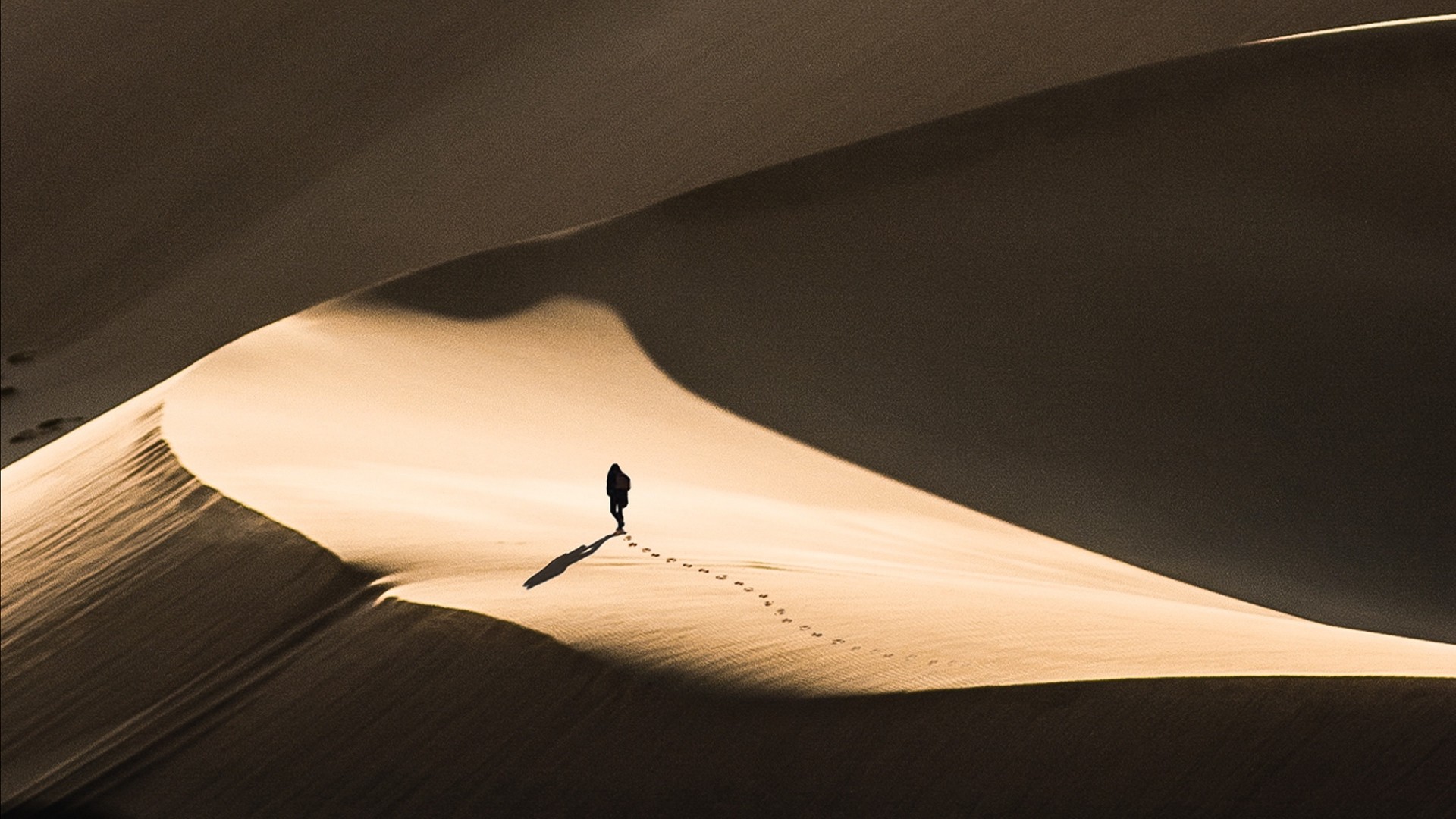 Desert, sand, silhouette, dunes, lonely, wanderer | picture, photo ...