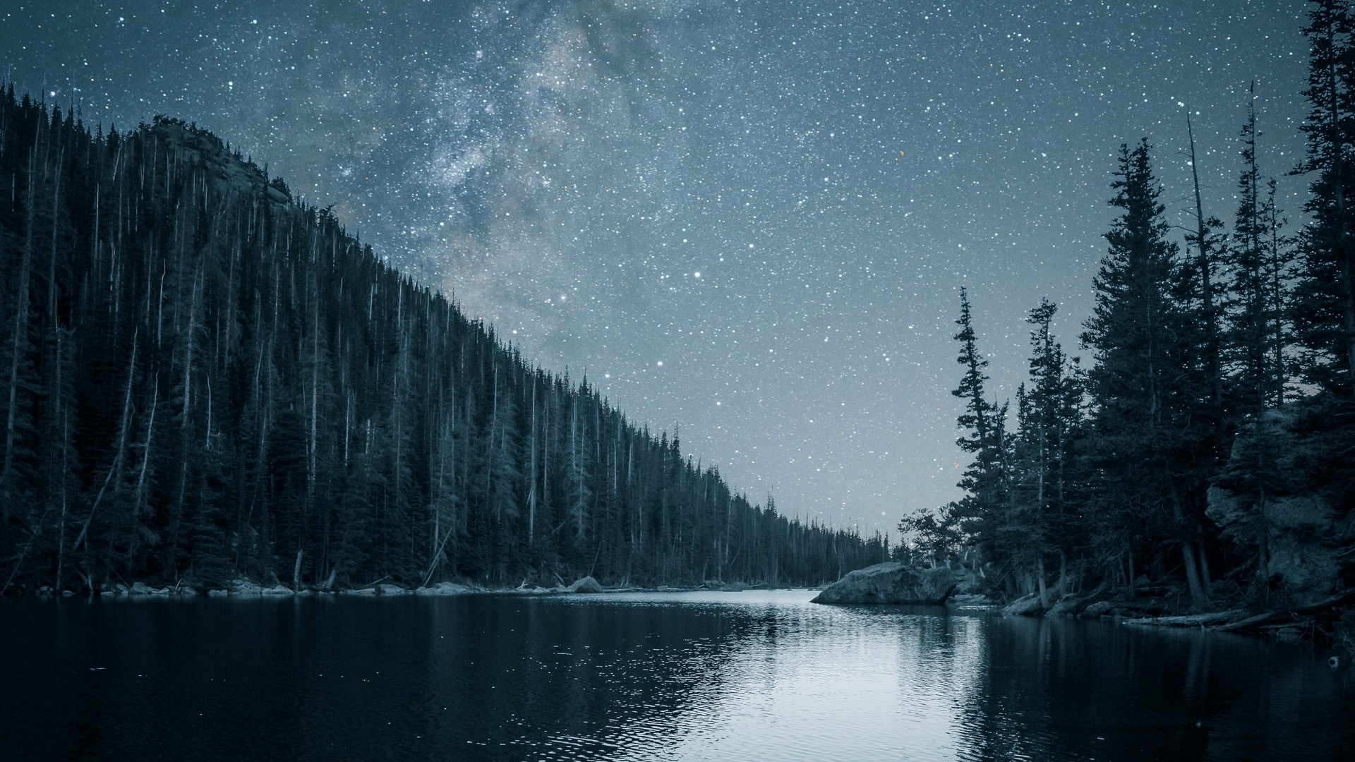 1920x1080 wallpapers: river, trees, starry sky, night (image)