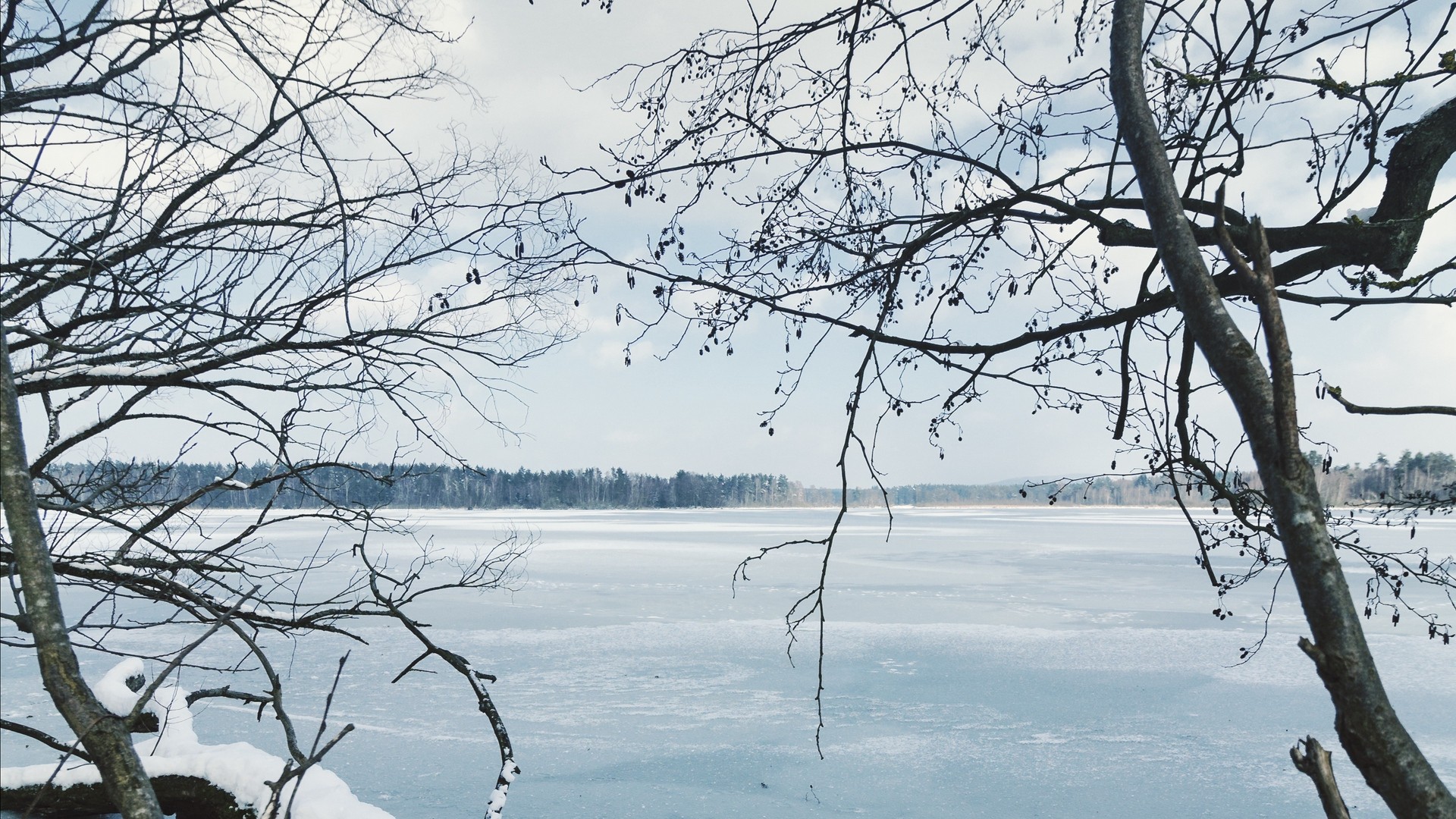 1920x1080 wallpapers: river, ice, snow, branches, trees (image)