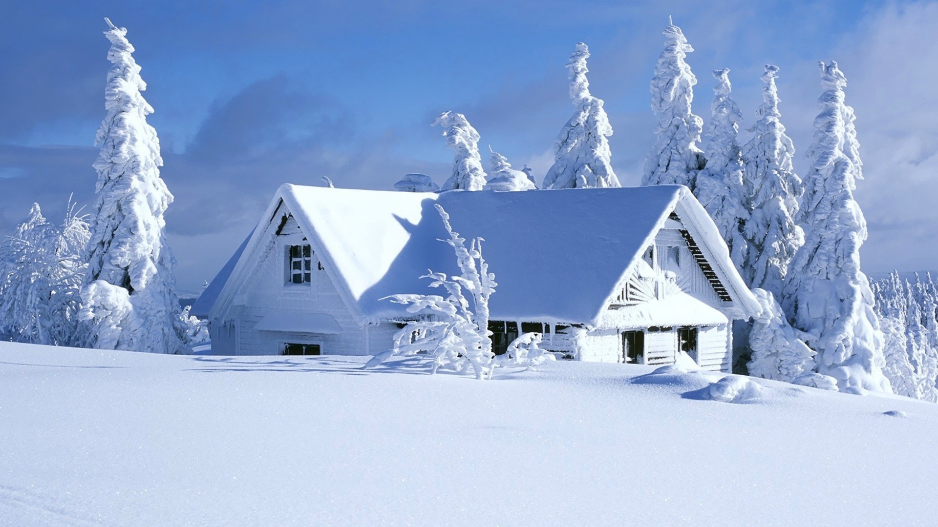 自然 雪 冬 写真 写真 デスクトップ壁紙