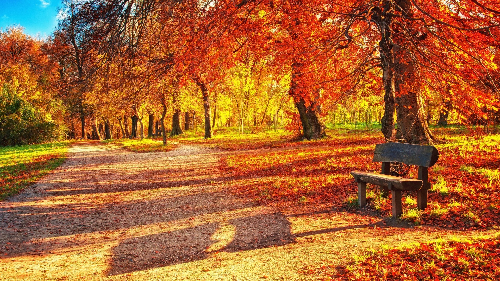 1920x1080 wallpapers: bench, autumn, park, foliage (image)