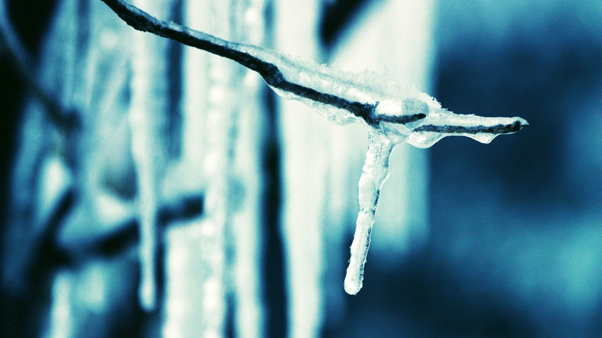 1920x1080 wallpapers: icicle, branch, ice, spring (image)
