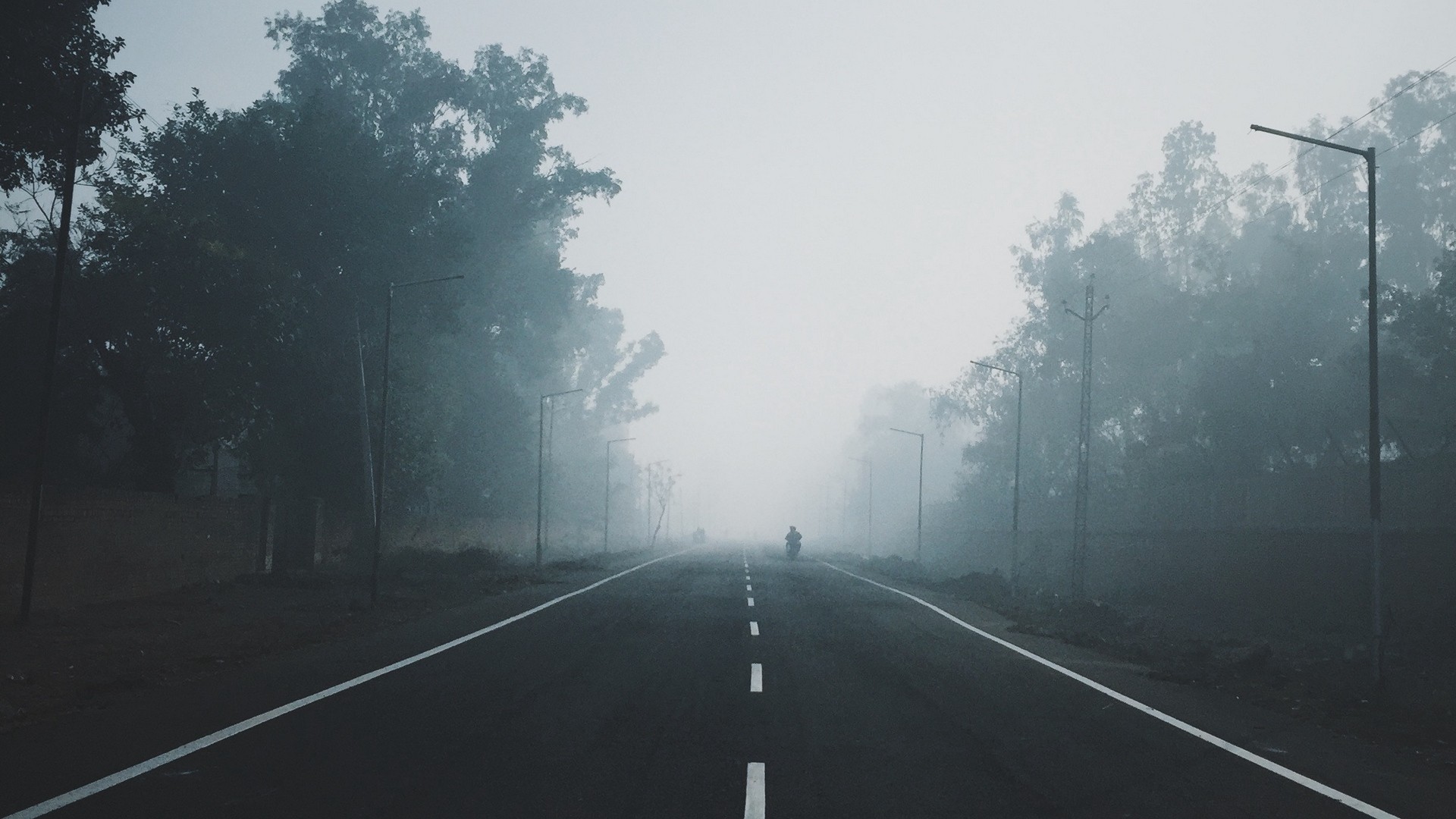 1920x1080 wallpapers: fog, road, trees, marking (image)