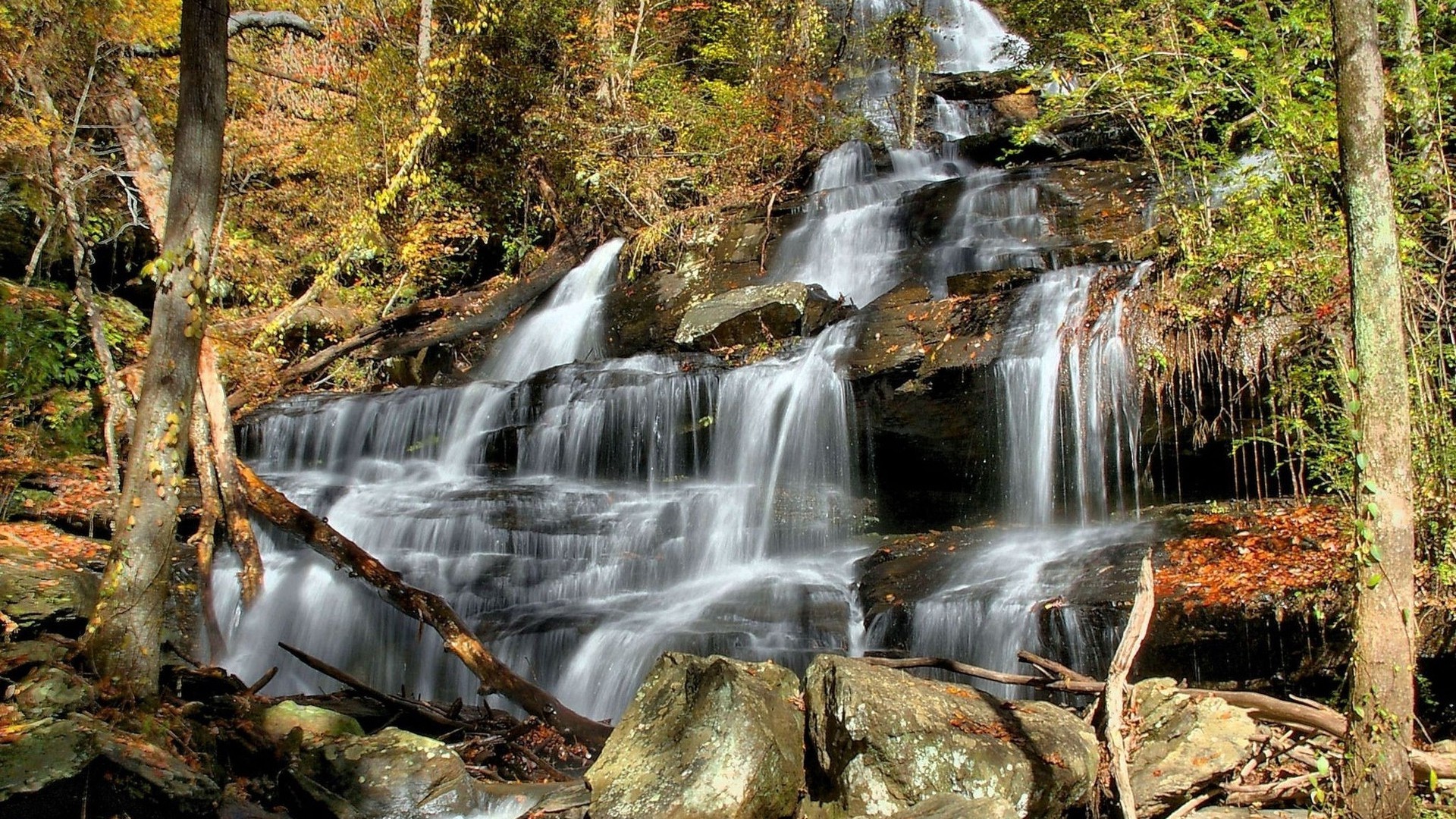 1920x1080 wallpapers: waterfall, cascades, forest, leaves, stones (image)