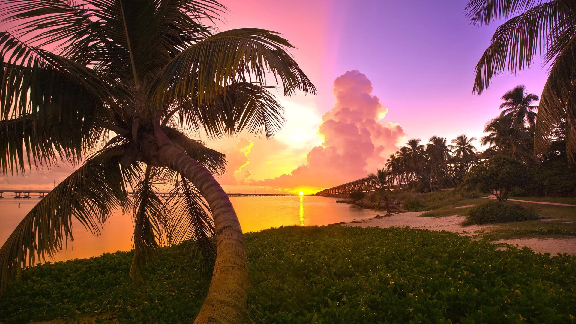 1920x1080 wallpapers: sunset, sea, palm trees, landscape (image)