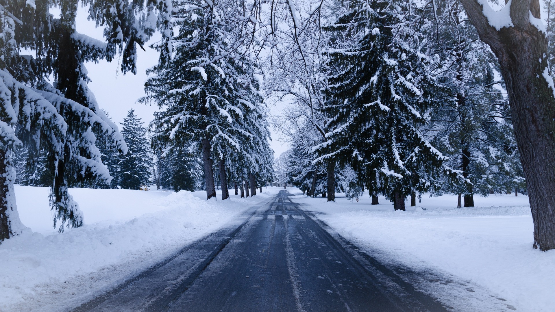 冬 道路 雪 木 冬の風景 写真 写真 デスクトップ壁紙