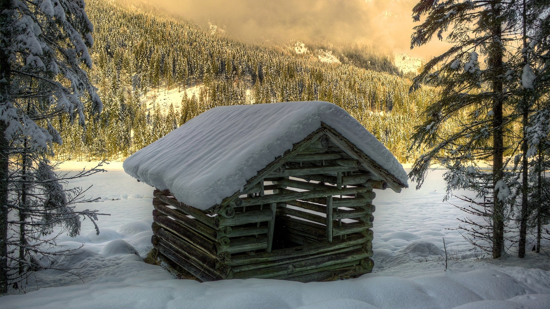 1920x1080 wallpapers: 冬季，雪，房子，建筑，森林，云杉，树木，日志 (image)