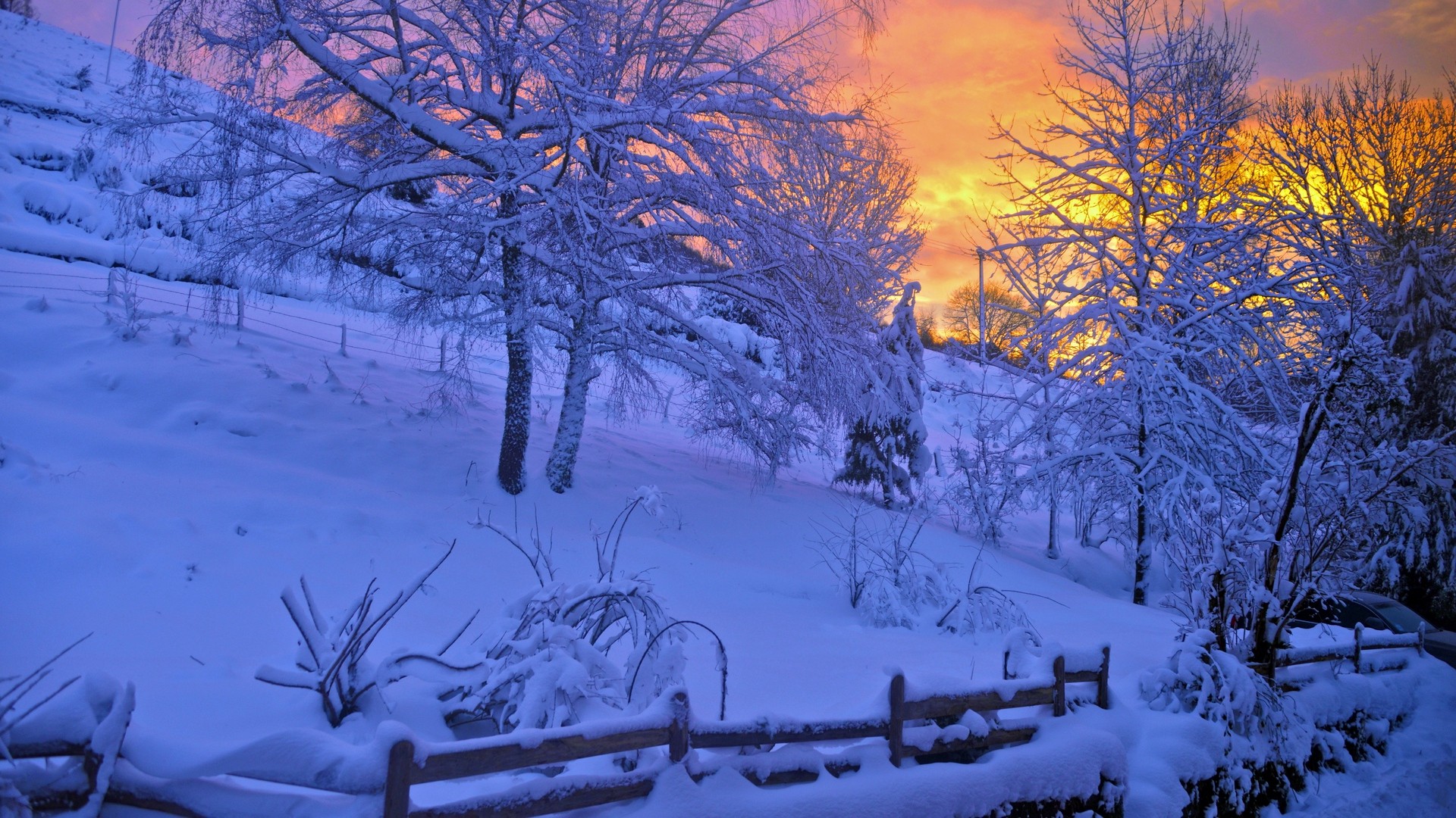 1920x1080 wallpapers: winter, snow, sunset, fence, trees (image)