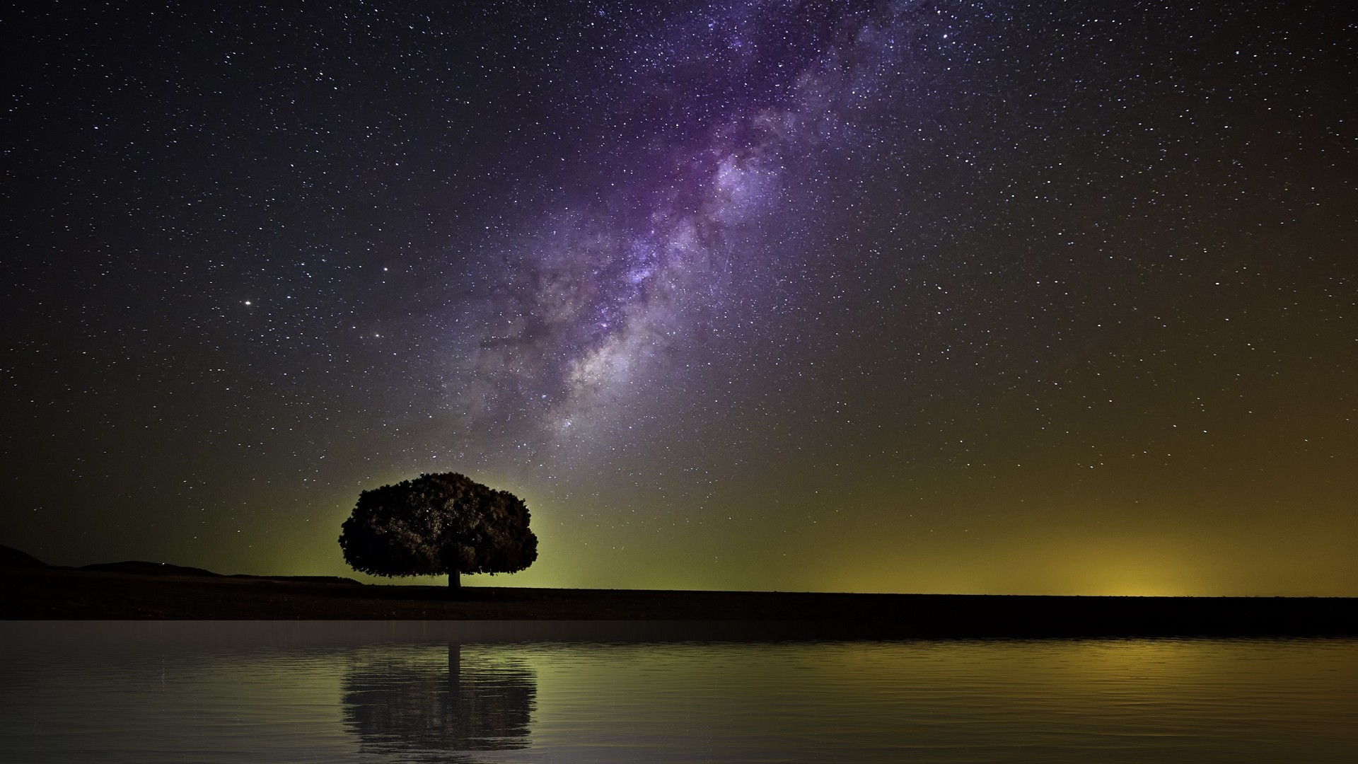 星空 天の川 木 地平線 海岸 夜 写真 写真 デスクトップ壁紙