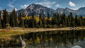 alberta, canada, mountains, lake, trees, reflection