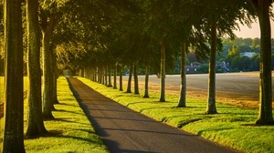 alley, path, trees, lawn - wallpapers, picture