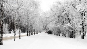 alley, birch, hoarfrost, track, winter, snow, sky, merger - wallpapers, picture
