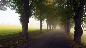 alley, trees, fog, meadow, road, haze