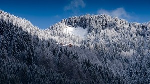 alps, mountains, snow, trees