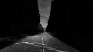 asphalt, road, trees, black and white (bw)