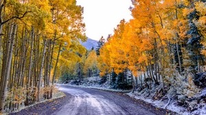 aspen, colorado, usa, trees, autumn, turn - wallpapers, picture
