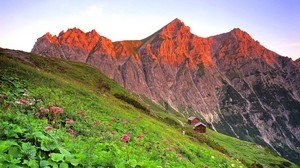 austria, brandnertal, grass, mountain, slope - wallpapers, picture