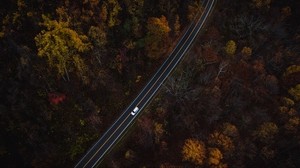 auto, road, top view, trees