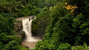 bali, indonesia, waterfall, forest, palm trees, rock