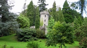 torre, alberi, giardino, prato