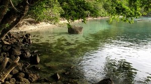 shore, stones, tree, slope, branches, water, tina - wallpapers, picture