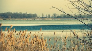 orilla, hielo, río, invierno